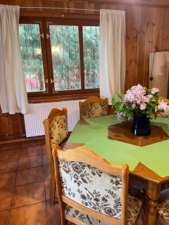 Domek w lesie - - 5