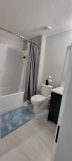 Cozy 1 bedroom basement suite in Southwest Calgary - 1