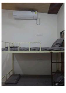 The Malshej Mist - 3