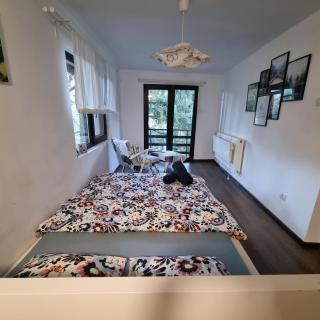 "Whispering pines" vacation home, close to Sofia - Gola Glava - 3