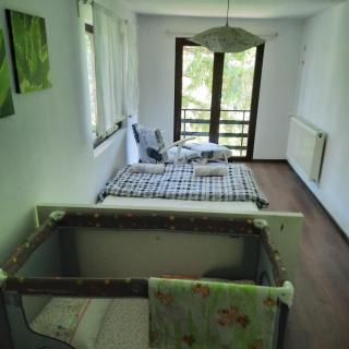 "Whispering pines" vacation home, close to Sofia - Gola Glava - 4