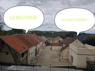 Le Saint Vincent - Chablis - 2