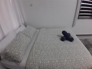 Lakefront Homestay - Taiping - 1