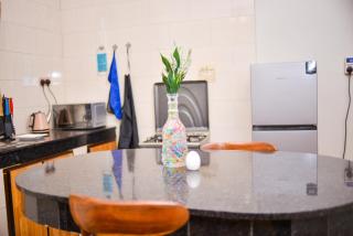 Elegant & Aesthetic Apartment - Kampala - 8