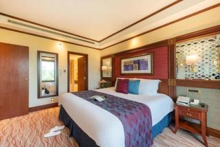 Hotel Royal TeO Near Delhi Airport - Nuova Delhi - 0