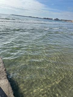 Anzio Intero alloggio in affitto - Anzio - 4