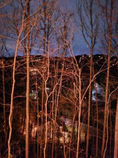 Three bears lodge - Gatlinburg - 1