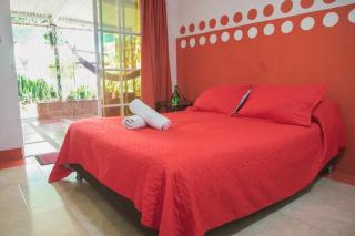 Hostal El Mirador - Minca - 9