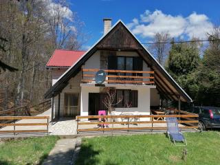 Vlasinsko jezero vila BiLiV - Surdulica - 9