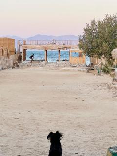 Boutique sea lodge - Nuweiba` - 6