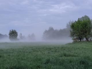 Na końcu dróżki - 4