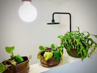 The Oak Tree Farm Studio - Ideal for Families - Unplug, Unwind, and Reconnect with Nature - Rabaços - 7