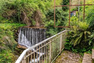 Casa Laura Nature and Art in the heart of Tuscany - Rufina - 6