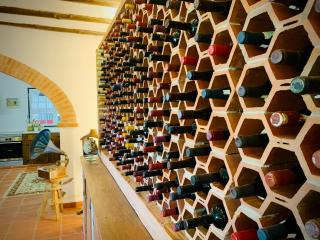 The Oak Tree Farm Studio - Ideal for Families - Unplug, Unwind, and Reconnect with Nature - Rabaços - 6