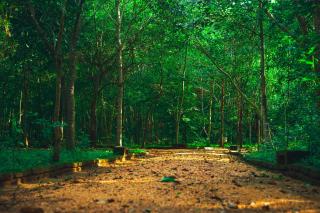Kaala Kalaththewa Luxury Eco Resort - Anuradhapura - 3