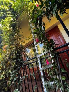 Hostal Gina - Angol - 7