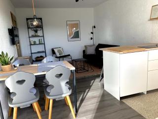 GLÜCKAUF by Schwarzwaldquartier Sauna im Haus Skilift und Loipe in direkter Nähe Traumblick Tiefgarage E-Ladestation - Todtnauberg - 4