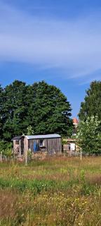 liberty - Urlaub im Zirkuswagen - Karstädt - 1