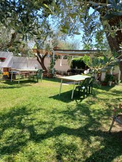 Villa Carol Appartamento e B&B - Tollo - 7
