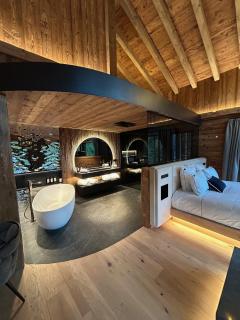 Domaine Les Terres Bleues - Xonrupt-Longemer - 5