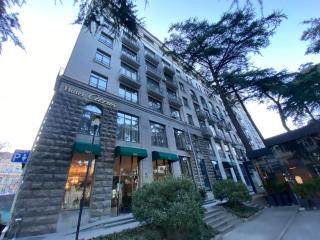 near Liberty square behind parliament - Tbilisi - 9