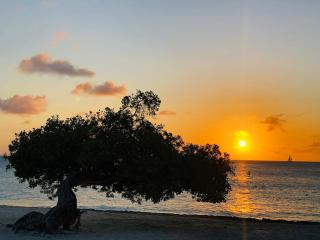 Caribbean Breeze-4 bedroom 4 ensuite bathrooms - Oranjestad - 6
