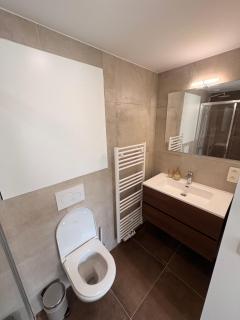 Spacious suite with private bathroom - Bruxelles - 8