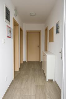 Apartman Citro - Novalja - 1