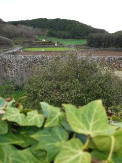 O Pomar do Gasparinho - Santa Cruz da Graciosa - 5
