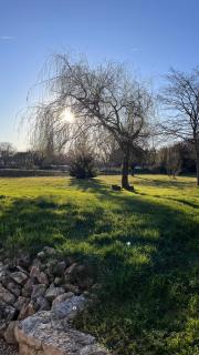 Aux 4 Ailes - 20 min from Beauval Zoo - 4 people - Thenay - 6