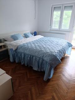 SREMICA - Guest House - Pećinci - 2