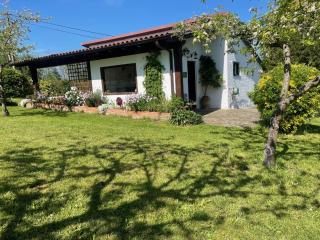 Casa Benjamín - Oviedo - 4