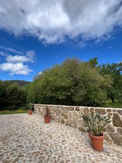 Casa dos Manels - Arcos de Valdevez - 7