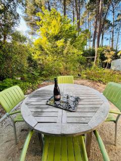 modern appartement with private garden & shared pool - Seignosse - 8