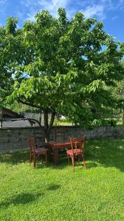 Casa Astoria - Băile Herculane - 5