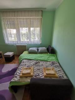 Apartment Lazarevic - Novi Sad - 5