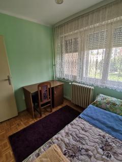 Apartment Lazarevic - Novi Sad - 3