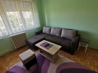Apartment Lazarevic - Novi Sad - 8