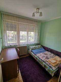 Apartment Lazarevic - Novi Sad - 4