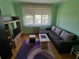 Apartment Lazarevic - 9