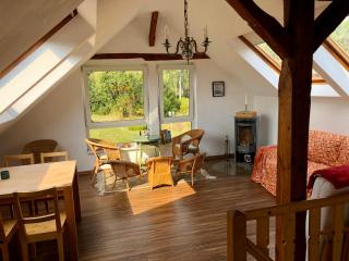 Storchennest - Ferienappartement mit Kamin und Sauna - Putlitz - 8