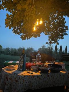 La casa di Carlotta - Usi - 6