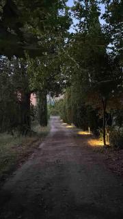 La casa di Carlotta - Usi - 3