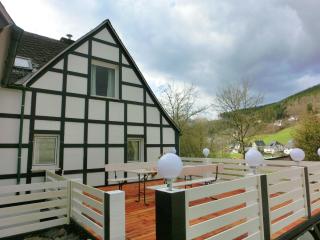Ferienhaus Schmallenberg nahe Skibus - Schmallenberg - 2