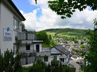 Große Ferienwohnung in Willingen mit Balkon - 2