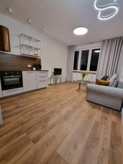 Teatralna Nowoczesny Apartament Centrum Bolesławca - Bolesławiec - 6