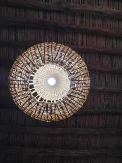 Dar Oasis Moringa - 3