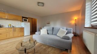 Apartmány u tatranky - Tatranská Lomnica - 3