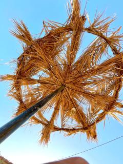 Dar Oasis Moringa - 6