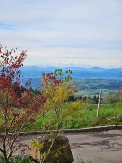 Lueginsland - Schopfheim - 7